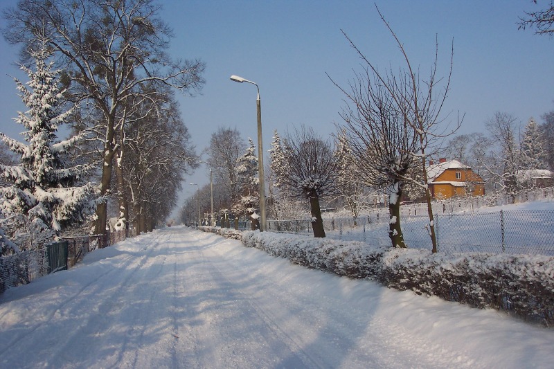 Gmina Dzierzkowice Zimą 2006r.